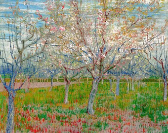 Van Gogh, The pink orchard Apricot Trees, 1888 | Art Print | Canvas Print | Fine Art Poster | Art Reproduction | Archival Giclee | Gift Wrap