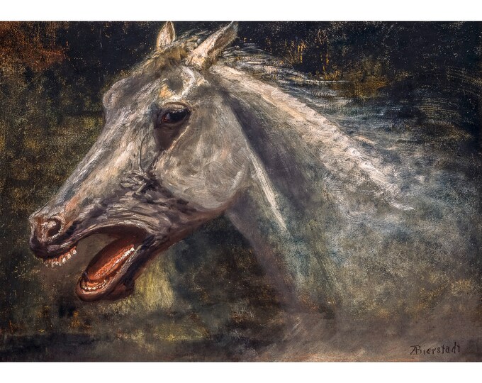 Albert Bierstadt, A Wild Stallion, 1888 | Art Print | Canvas Print | Fine Art Poster | Art Reproduction | Archival Giclee | Gift Wrapped