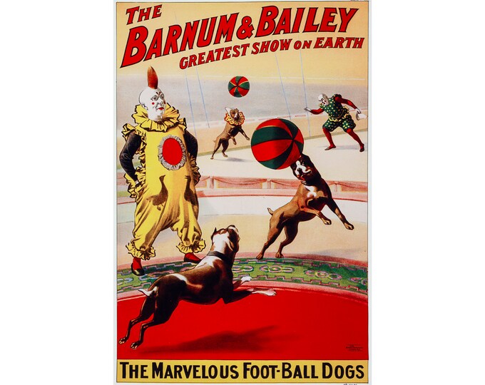 Barnum & Bailey Circus, Football Dogs | Art Print | Canvas Print | Fine Art Poster | Art Reproduction | Archival Giclee | Gift Wrapped