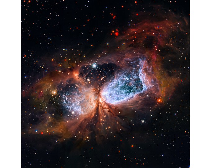Constellation Cygnus, The Swan, NASA Space Art | Art Print | Canvas Print | Fine Art Poster | Art Reproduction | Archival Giclee | Gift Wrap