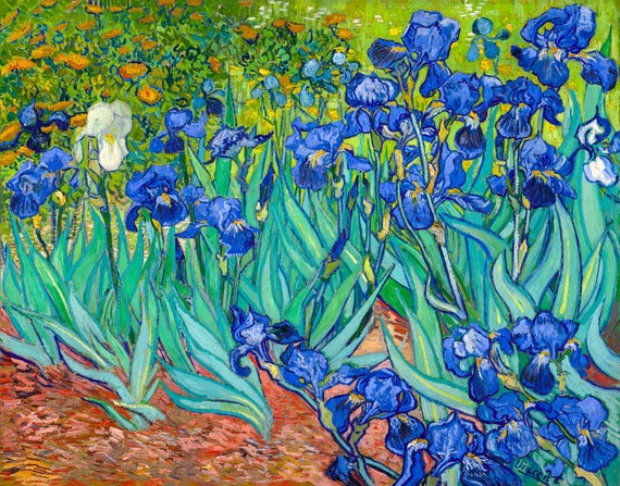 Van Gogh Irises Les Iris 1889 Art Print Canvas Print - Etsy Australia