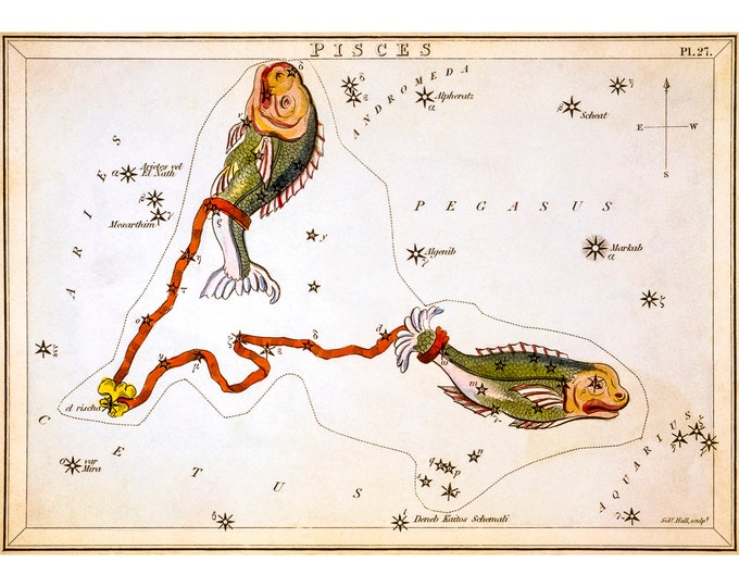Pisces Astrology Poster, Sidney Hall, Urania's Mirror, Pisces | Art Print | Canvas Print | Fine Art Poster | Art Reproduction | Archival