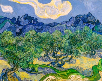 Van Gogh, Olive Trees, 1889 | Art Print | Canvas Print | Fine Art Poster | Art Reproduction | Archival Giclee | Gift Wrapped
