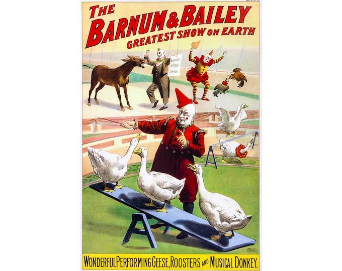 Barnum & Bailey Circus, Geese, Roosters and Musical Donkey | Art Print | Canvas Print | Fine Art Poster | Art Reproduction | Archival Giclee