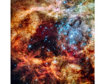 Tarantula Nebula, NASA Space Art | Art Print | Canvas Print | Fine Art Poster | Art Reproduction | Archival Giclee | Gift Wrapped