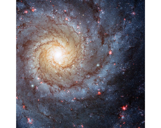 Spiral Galaxy in Pisces, NASA Space Art | Art Print | Canvas Print | Fine Art Poster | Art Reproduction | Archival Giclee | Gift Wrapped