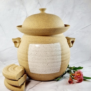 Può includere: Un vaso di ceramica marrone con un coperchio e un pannello quadrato bianco sul davanti. Il vaso ha una texture punteggiata e si trova su una superficie bianca. Ci sono tre dischi di ceramica marrone impilati accanto al vaso.