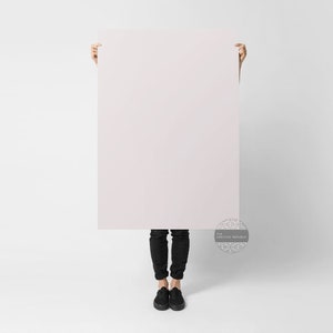 Ostra | Fundos fotográficos | Cenários fotográficos | Suporte Flatlay | Fundo plano | Adereços alimentares | Vendedor australiano |