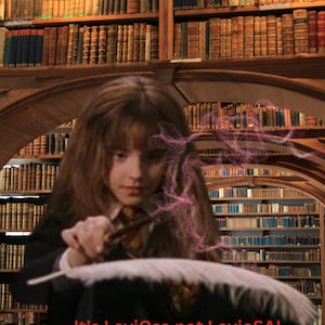 Hermione Quote LeviOsa