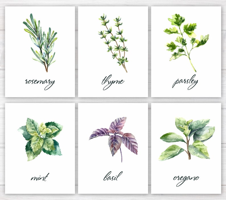 Herbs Print Kitchen Print Kitchen Printable Watercolor | Etsy