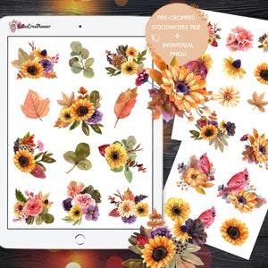 May include: A digital sheet of pre-cropped fall-themed watercolor clipart. The sheet includes images of sunflowers, leaves, cardinals, pumpkins, and floral arrangements. The text "PRE-CROPPED GOODNOTES FILE + INDIVIDUAL PNGs!" is at the top of the sheet.
