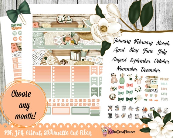 Monthly Planner Printable Stickers Summer Planner Kit | Etsy