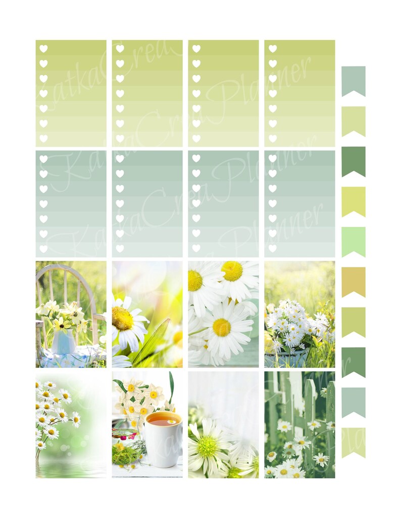 Daisy Planner Stickers Planner Stickers for Erin Condren image 2