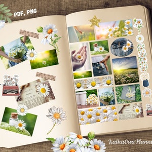 DAISY Printable Bullet Journal Stickers/Photo Collage Sticker Sheet/Planner Stickers/Bujo Stickers/Vision Board/Nature Life Scrapbook Kit