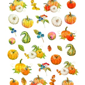 Pumpkin Watercolor Printable Planner Stickers, Filofax, Happy Planner ...