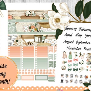 Adesivos para impressão de planejador mensal, kit de planejador de verão, kit de planejador mensal para Erin Condren, kit de visualização mensal, visualização mensal ECLP