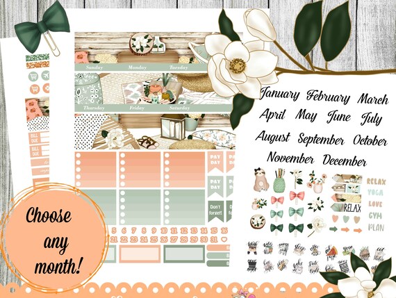 Monthly Planner Printable Stickers Summer Planner Kit | Etsy