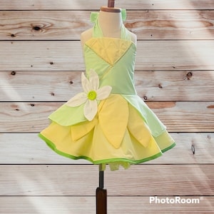 Princess Tiana Dress