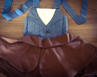 Flynn Rider Tangled Dress