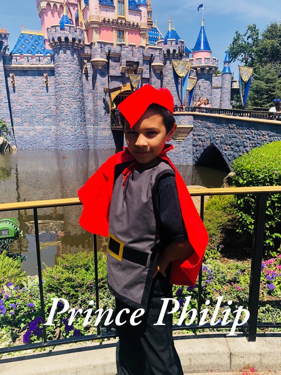 Men's Disney Sleeping Beauty Prince Phillip Costume