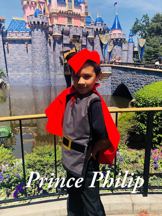 Men's Disney Sleeping Beauty Prince Phillip Costume