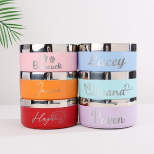 May include: A stack of six colorful pet bowls with silver rims. Each bowl is a different color: pink, orange, red, light blue, teal, and lavender. The bowls are personalized with names in silver script: Babcock, Janice, Hagan, Lacey, Ileana, and Raven.