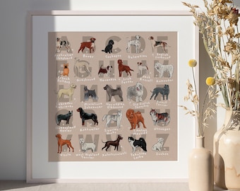Alphabet of Dogs - A to Z of Dogs - Dogs of the World - Square Print