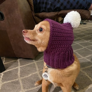 Dog snood