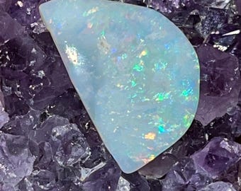 Rare collectors Australian opal shell fossil Coober Pedy