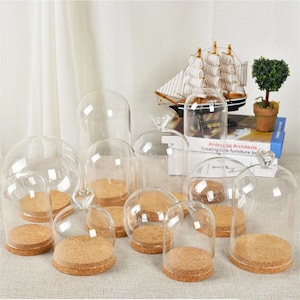 Glass Cover Empty Glass Vials Glass Bottles Mini Glass Bottles Glass Vials With Cork Tiny Bottle Small Glass Jar Small Cork DIY Glass Bottle