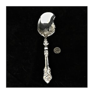 May include: A silver-toned serving spoon with an asymmetrical, notched bowl and an ornate, embossed floral handle. The spoon is positioned next to a standard U.S. quarter coin for scale, highlighting the intricate metalwork on the handle and bowl.