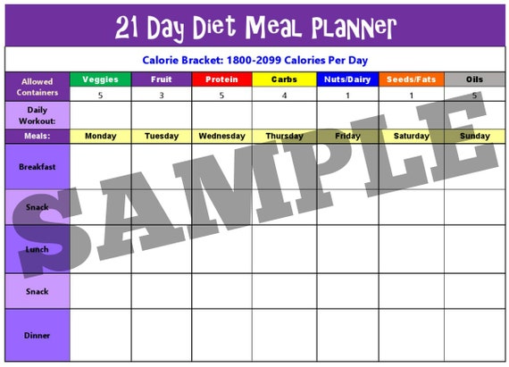 Portion Control Container and Food Plan - 21 Day Portion Control Container  Kit for Weight Loss - 21 Day Tally Chart with e-Book (7 Labeled Pcs)