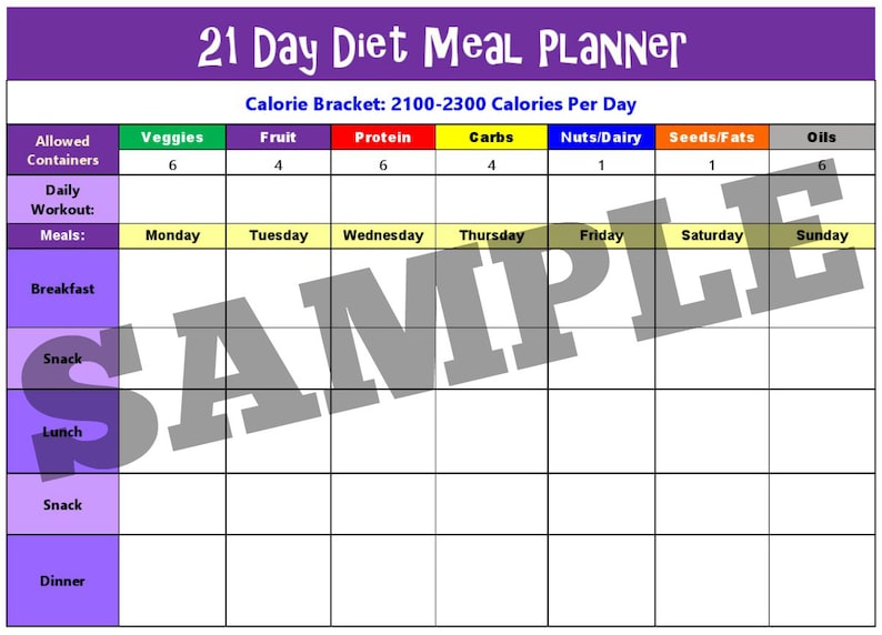 21 Day Diet Plan for 21002300 Calorie Bracket 5 Page PDF BUNDLE Meal Planner, Container Tally