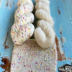 海外毛糸 Birdstreet Yarnソックヤーン カラーパレット10色セット