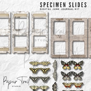 Digital Junk Journal Kit - Specimen Slide Set, Digital Download, Printable Junk Journal, Printable Specimen Slides, Specimen Slide Images