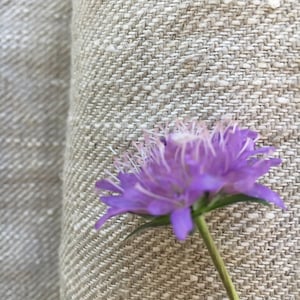 May include: A close-up of a purple flower with a light brown fabric background. The flower has a delicate, feathery texture and is in full bloom.