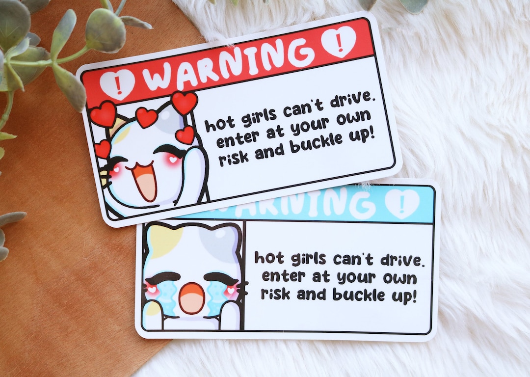 Hot Girls Can't Drive Car Visor Warning Sticker, Kawaii Stickers, Y2k