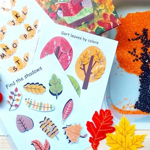 Livre d'automne chargé pour les tout-petits, livre d'automne calme pour tout-petit, classeur occupé pour les activités préscolaires, classeur d'apprentissage, cahier d'exercices de la maternelle