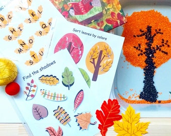 Autumn busy book for toddlers, Fall quiet book for toddler, busy binder for preschool activity, Learning binder, Kindergarten workbook