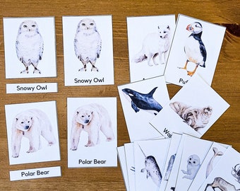 Arctic animals flashcards, Arctic animals 3 Part Cards, Montessori three part cards