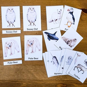 Arctic animals flashcards, Arctic animals 3 Part Cards, Montessori three part cards
