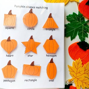 Page de livre remplie de citrouille, classeur occupé d'automne pour les tout-petits, feuilles de travail d'Halloween, activités préscolaires d'automne, cahier d'exercices de maternelle