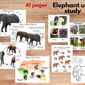 Elefant Einheitsstudie, Elefant Anatomie und Arten dreiteilige Karten, Montessori Materialien, Homeschool Lernpaket