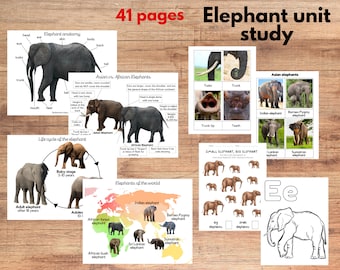 Elephant unit study, Elephant anatomy and species three part cards, Montessori materials, Homeschool Learning Pack