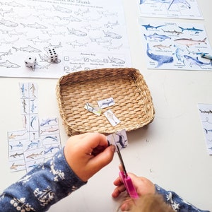May include: A child's hands are shown cutting out a shark from a set of educational flashcards. The flashcards feature different types of sharks with their names. There are two white dice and a basket on the table. The child is working on a shark-themed activity.