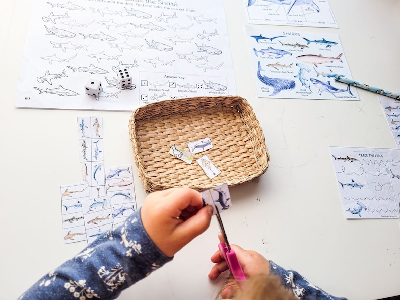 May include: A child's hands are shown cutting out a shark from a set of educational flashcards. The flashcards feature different types of sharks with their names. There are two white dice and a basket on the table. The child is working on a shark-themed activity.