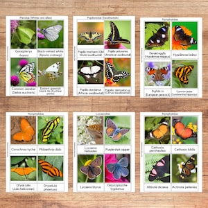Tarjetas de tres partes con mariposas, material Montessori, 235 especies de mariposas, paquete de aprendizaje para la educación en el hogar