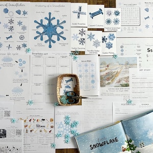 Estudio de la unidad de nieve, Anatomía de los copos de nieve, Ciclo de vida de la nieve, Tarjetas de tres partes de los copos de nieve, Materiales Montessori, Charlotte Mason