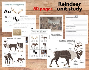 Reindeer unit study, Reindeer anatomy, Caribou life cycle, Art, Poetry study, Three-part card, Montessori materials, Charlotte Mason