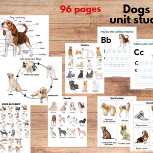 Dogs unit study, Dog anatomy and dog breeds three-part cards, Math worksheets, tracing and writing, Dog breeds posters and Alphabet poster